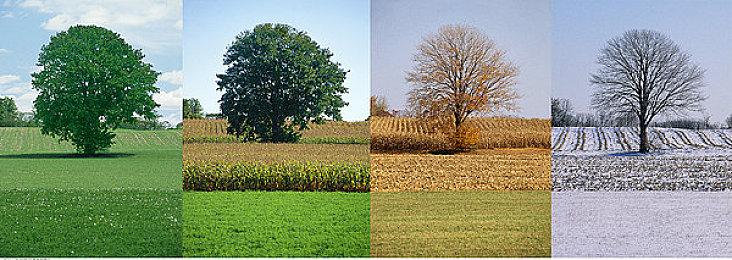 《极限竞速：地平线5》主播娱乐赛4月7日火热开赛！四位主播齐聚带你穿越侏罗纪！